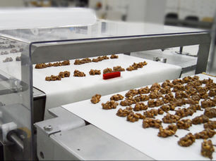 Food production metal detector