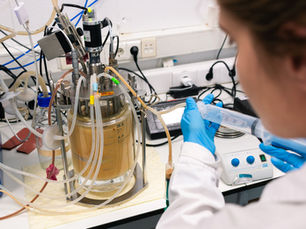 MOA Foodtech closes €3.3m round to scale fermentation-derived bakery ingredients