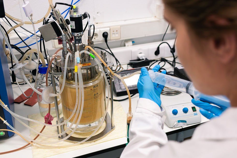 MOA Foodtech closes €3.3m round to scale fermentation-derived bakery ingredients