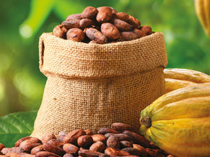 Reformulation without compromise: How fibre and natural sweeteners are reshaping industrial bakery