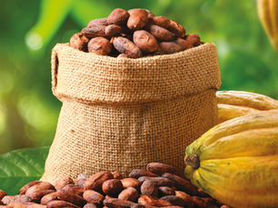Reformulation without compromise: How fibre and natural sweeteners are reshaping industrial bakery