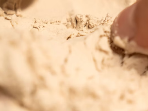 Dry yeast