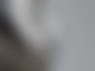 Metallic nose