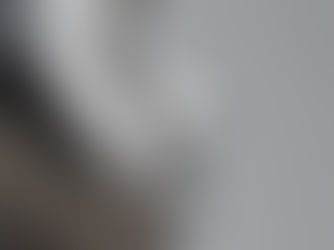 Metallic nose