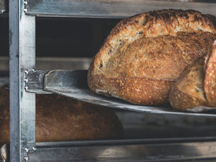 Sourdough market forecast to double by 2035 as fermentation goes industrial