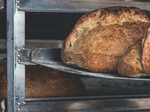 Sourdough market forecast to double by 2035 as fermentation goes industrial