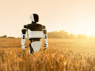 AI Robot in wheat field