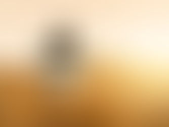 AI Robot in wheat field