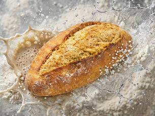 Tritordeum Sourdough: A Comprehensive Evidence-Based Review of Fermentation, Nutrition and Functional Performance
