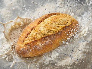 Tritordeum Sourdough: A Comprehensive Evidence-Based Review of Fermentation, Nutrition and Functional Performance