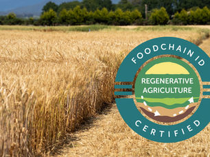 Italian Wheat Initiative Achieves Third-Party Regenerative Certification